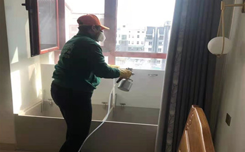 判断泰安除甲醛公司是否专业？